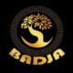 logo afir badja