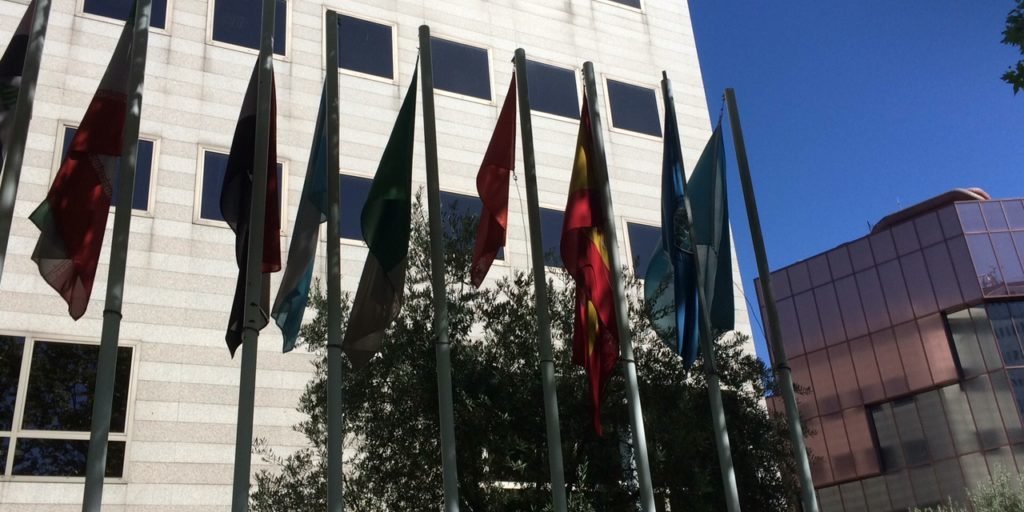 ccoi international conseil oléicole internationale