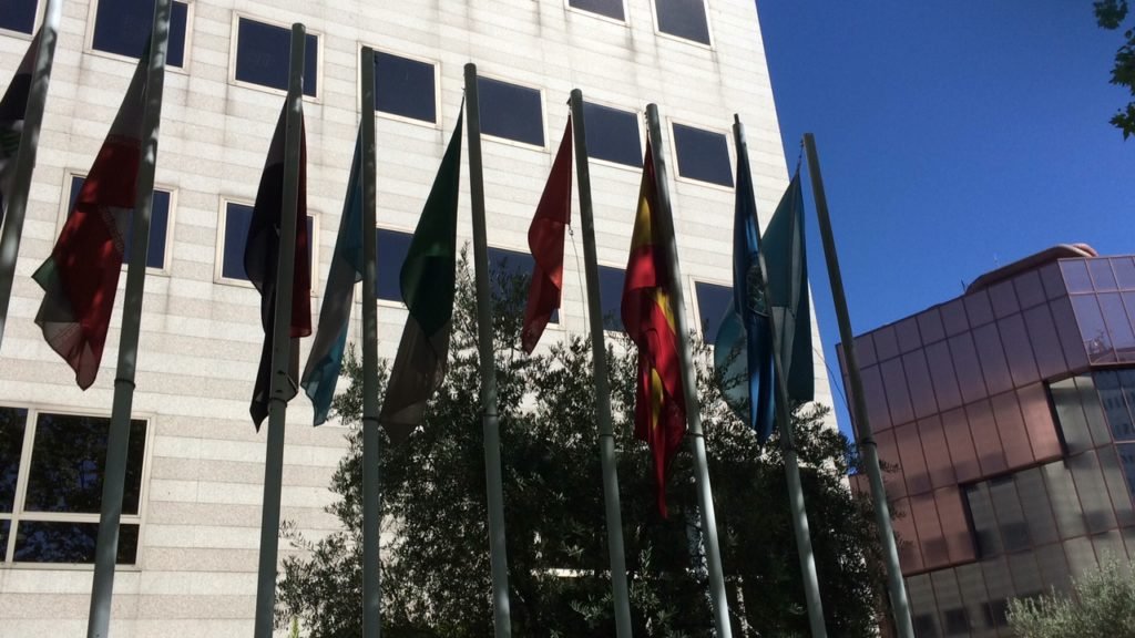 conseil oléicole internationale