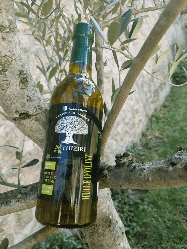 huile d olive thiziri kabylie
