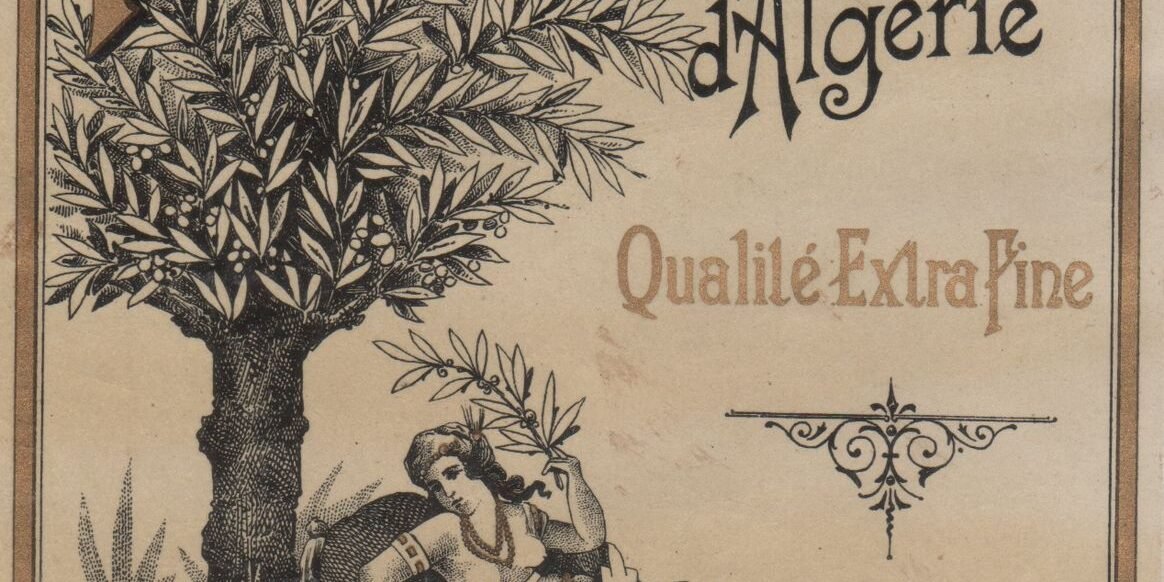 qualité huile algerienne
